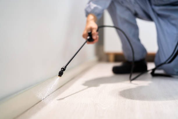 Licensed Pest Control service in Colonial Heights city County, VA - Nex Pest Control