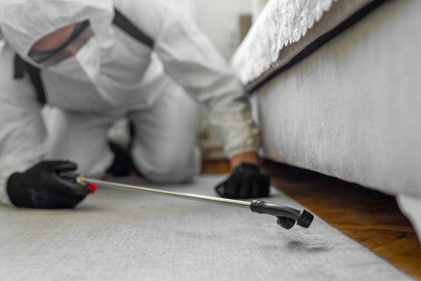 Professional Pest Control technician working in Colonial Heights city County, VA